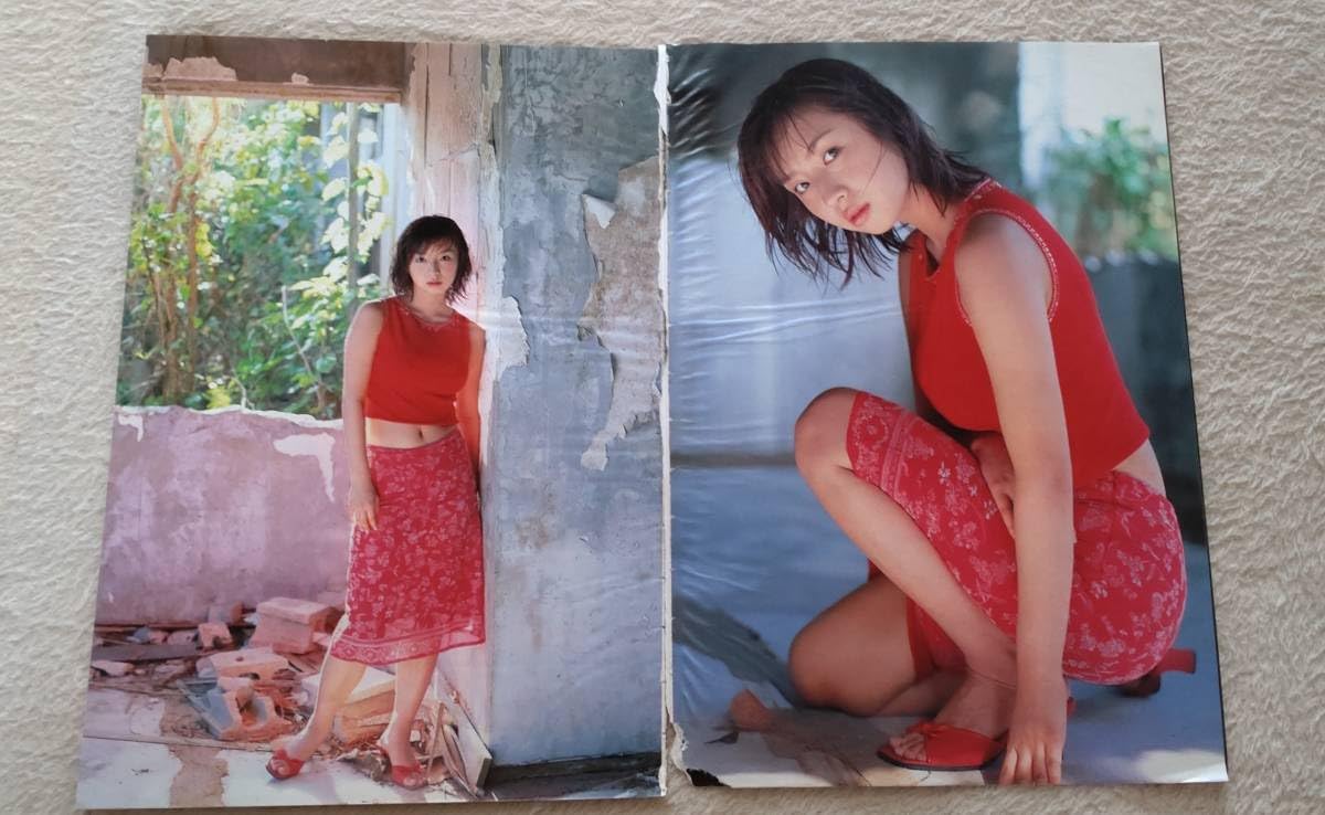 酒井若菜 グラビア切り抜き 週刊ヤングサンデー 2000年3月2日 No.728 酒井若菜 グラビア切り抜き 週刊ヤングサンデー 2000年3月2日 No